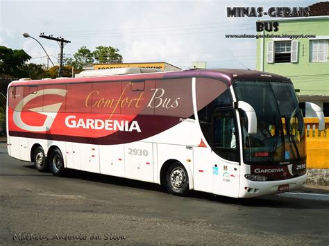 expresso gardenia-4